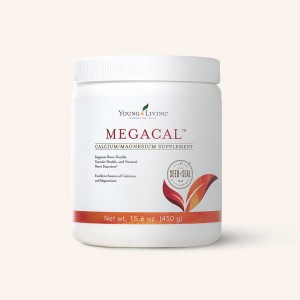 MegaCal